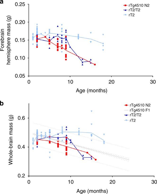 https://cdn.ncbi.nlm.nih.gov/pmc/blobs/d1d7/6554306/67bd2a3ccb27/41467_2019_10428_Fig2_HTML.jpg