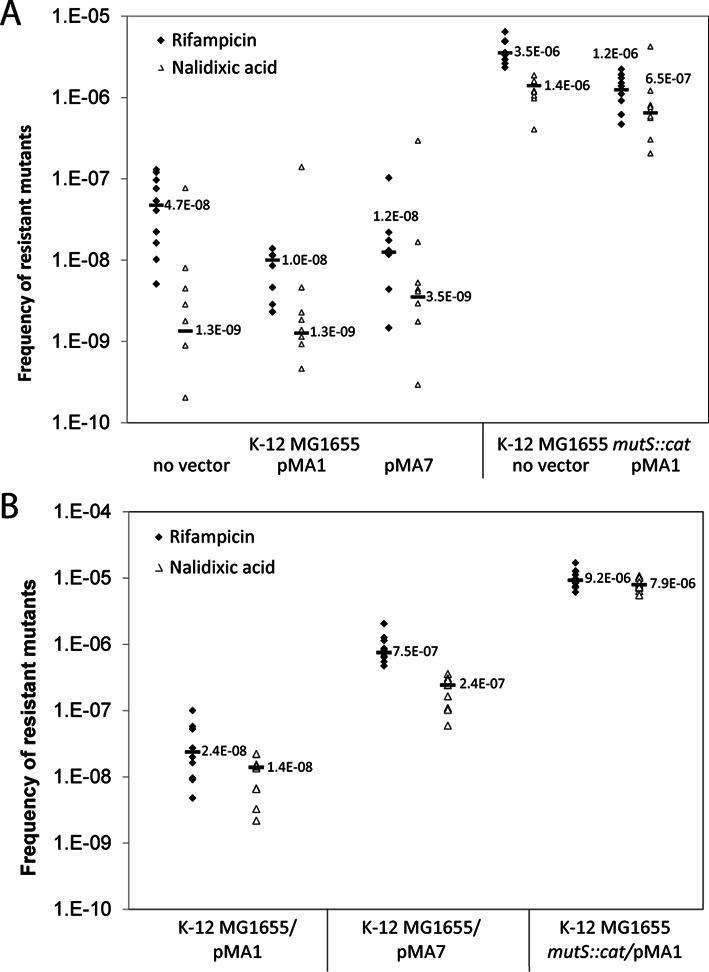 https://cdn.ncbi.nlm.nih.gov/pmc/blobs/d1f1/4770203/48c0515c78a8/gkv1090fig5.jpg