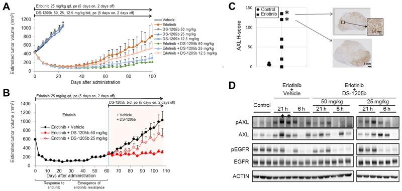 https://cdn.ncbi.nlm.nih.gov/pmc/blobs/d1f6/6718264/225a7ead3630/oncotarget-10-5152-g005.jpg