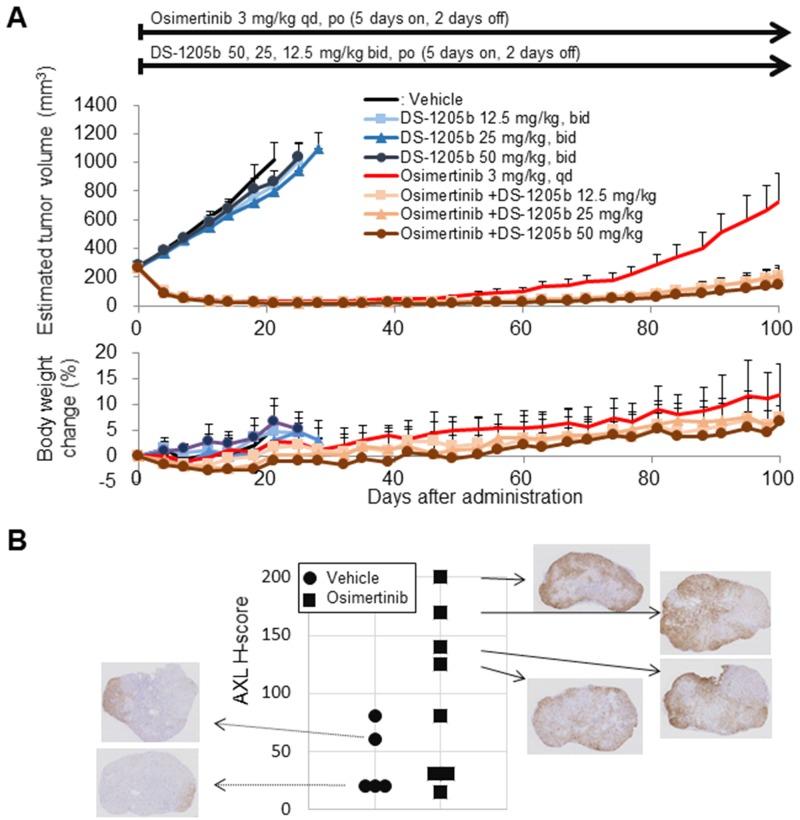 https://cdn.ncbi.nlm.nih.gov/pmc/blobs/d1f6/6718264/8425571ac3da/oncotarget-10-5152-g006.jpg