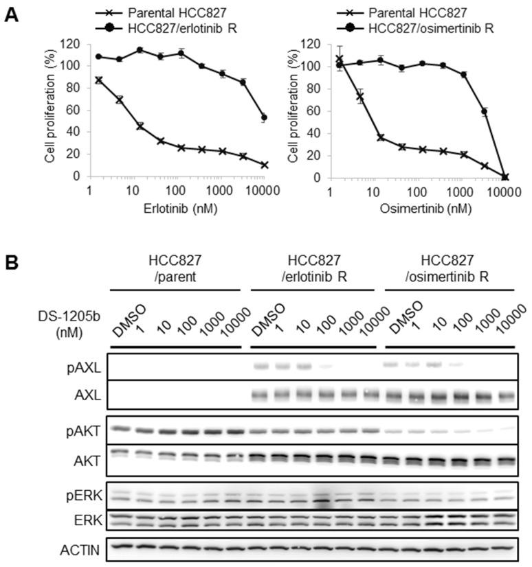 https://cdn.ncbi.nlm.nih.gov/pmc/blobs/d1f6/6718264/a5881ba9c004/oncotarget-10-5152-g003.jpg