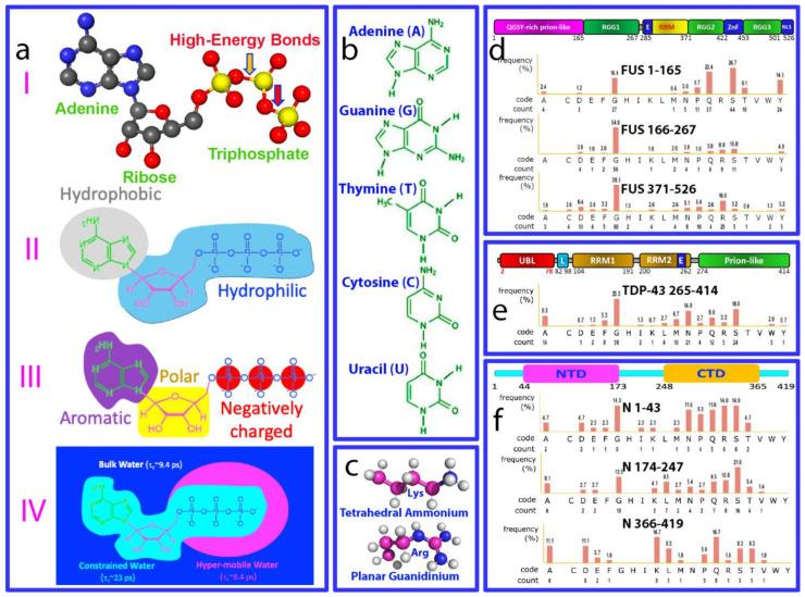 https://cdn.ncbi.nlm.nih.gov/pmc/blobs/d205/11048592/36b32c45599e/biomolecules-14-00500-g001.jpg