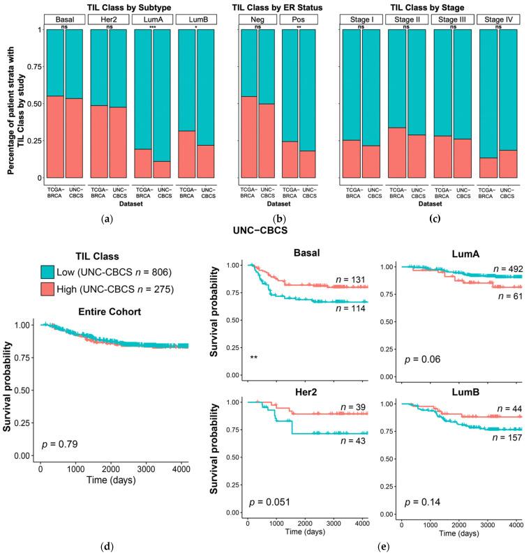 https://cdn.ncbi.nlm.nih.gov/pmc/blobs/d20a/9105398/3792a2110dbc/cancers-14-02148-g004.jpg