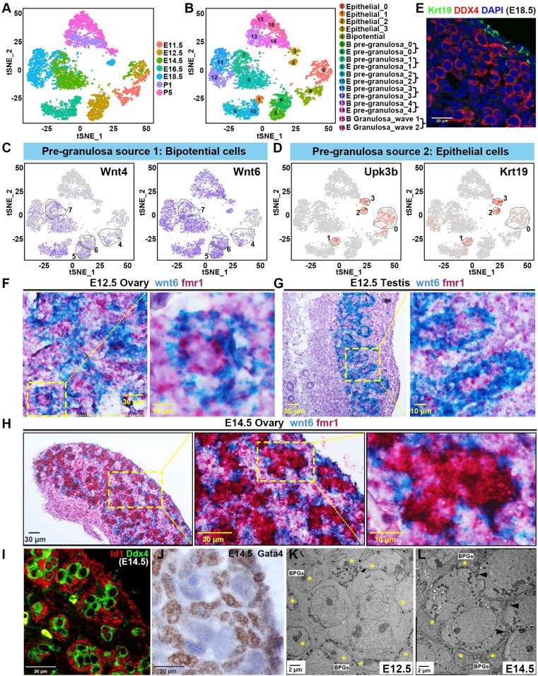 https://cdn.ncbi.nlm.nih.gov/pmc/blobs/d223/7443898/2ae14f70d696/pnas.2005570117fig03.jpg