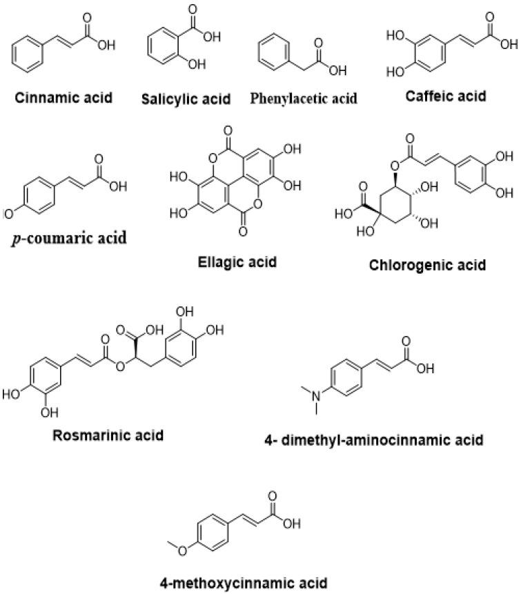 https://cdn.ncbi.nlm.nih.gov/pmc/blobs/d223/8911727/298b7ddd178e/molecules-27-01484-g006.jpg