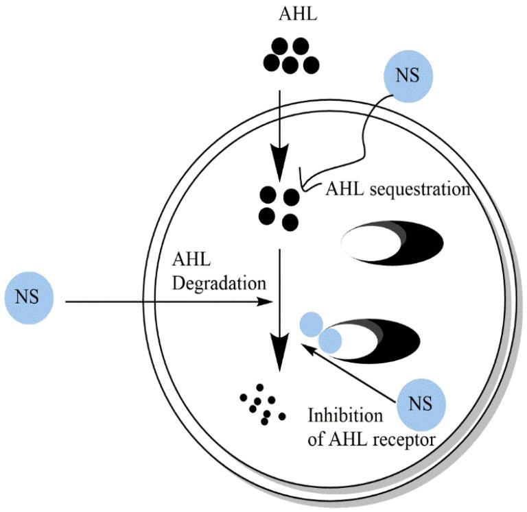 https://cdn.ncbi.nlm.nih.gov/pmc/blobs/d223/8911727/4865e7892f75/molecules-27-01484-g004.jpg