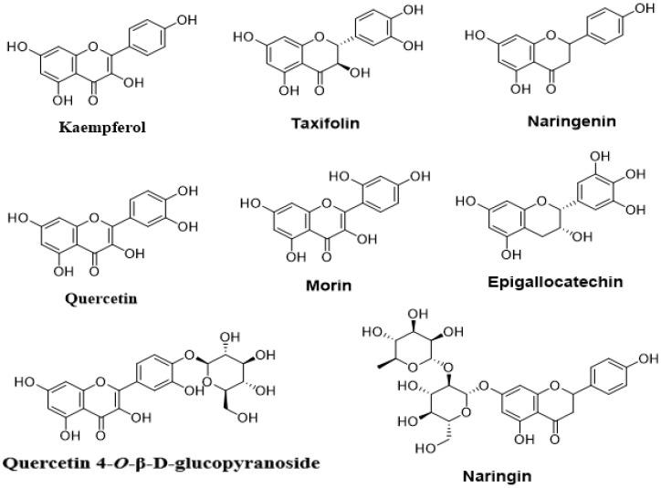 https://cdn.ncbi.nlm.nih.gov/pmc/blobs/d223/8911727/7f6137217168/molecules-27-01484-g005.jpg