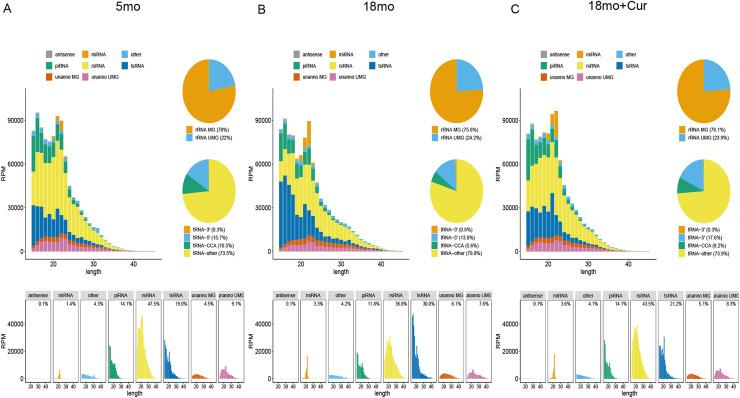 https://cdn.ncbi.nlm.nih.gov/pmc/blobs/d231/11285363/bbcafdf9364f/peerj-12-17495-g002.jpg