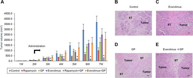 https://cdn.ncbi.nlm.nih.gov/pmc/blobs/d23c/11723851/8568c1291390/13577_2024_1165_Fig6_HTML.jpg