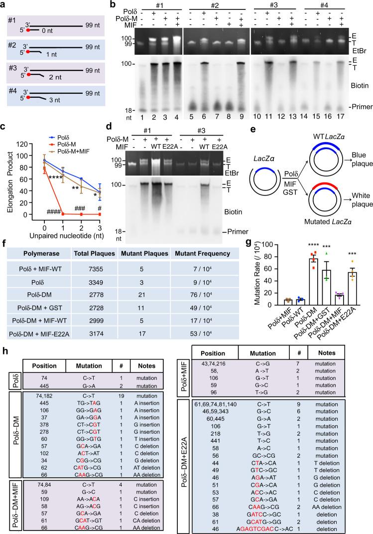 https://cdn.ncbi.nlm.nih.gov/pmc/blobs/d261/8134555/702f2cedea94/41467_2021_23264_Fig2_HTML.jpg