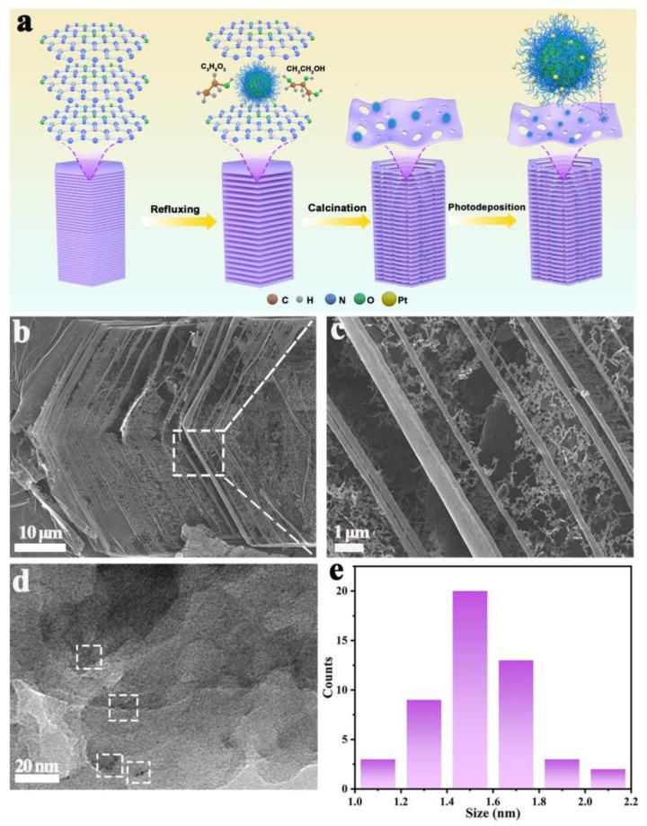 https://cdn.ncbi.nlm.nih.gov/pmc/blobs/d268/11055151/c2e9c9e37e67/molecules-29-01890-g001.jpg