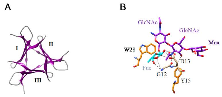 https://cdn.ncbi.nlm.nih.gov/pmc/blobs/d276/8305077/f7c9962a607e/cells-10-01619-g012.jpg