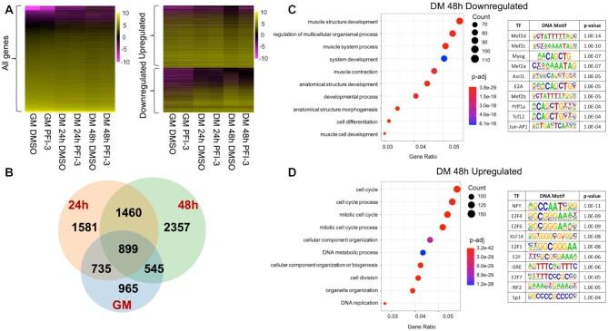 https://cdn.ncbi.nlm.nih.gov/pmc/blobs/d281/8373147/ffab4c45a79b/gkab617fig3.jpg