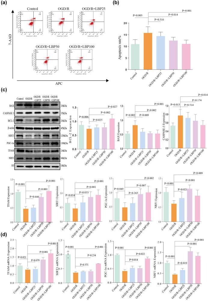 https://cdn.ncbi.nlm.nih.gov/pmc/blobs/d283/12258424/deb819cc7a6b/j_tnsci-2025-0377-fig002.jpg