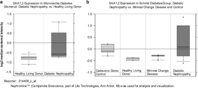 https://cdn.ncbi.nlm.nih.gov/pmc/blobs/d28c/4346621/c70c7b819738/labinvest2014163f3.jpg