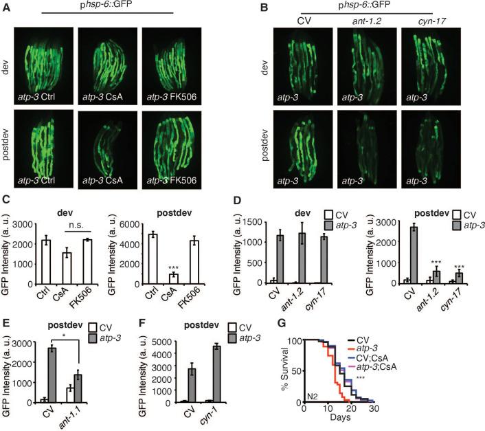 https://cdn.ncbi.nlm.nih.gov/pmc/blobs/d29d/8410078/16ca720f74bd/elife-63453-fig3.jpg