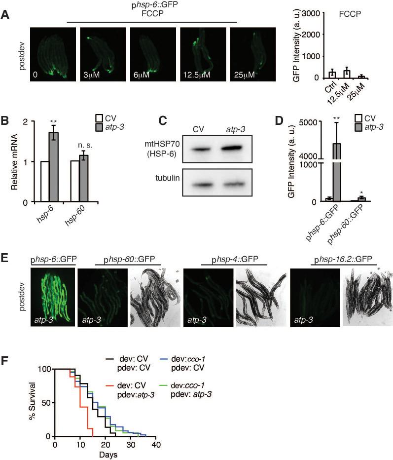 https://cdn.ncbi.nlm.nih.gov/pmc/blobs/d29d/8410078/8ad882328395/elife-63453-fig2-figsupp1.jpg