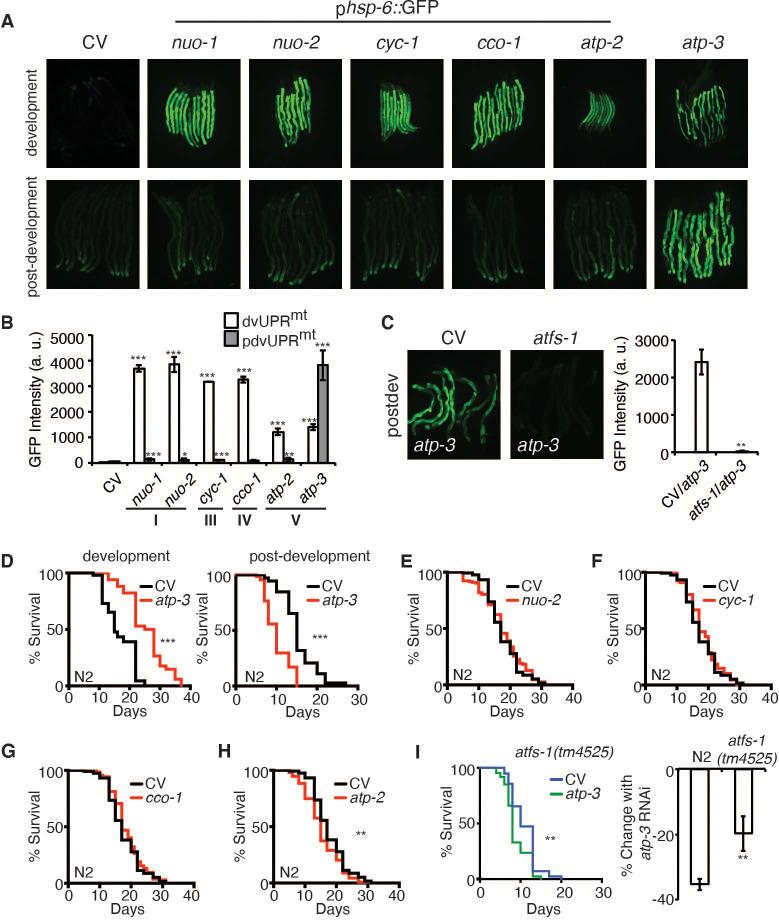 https://cdn.ncbi.nlm.nih.gov/pmc/blobs/d29d/8410078/a917e8d8e31b/elife-63453-fig2.jpg