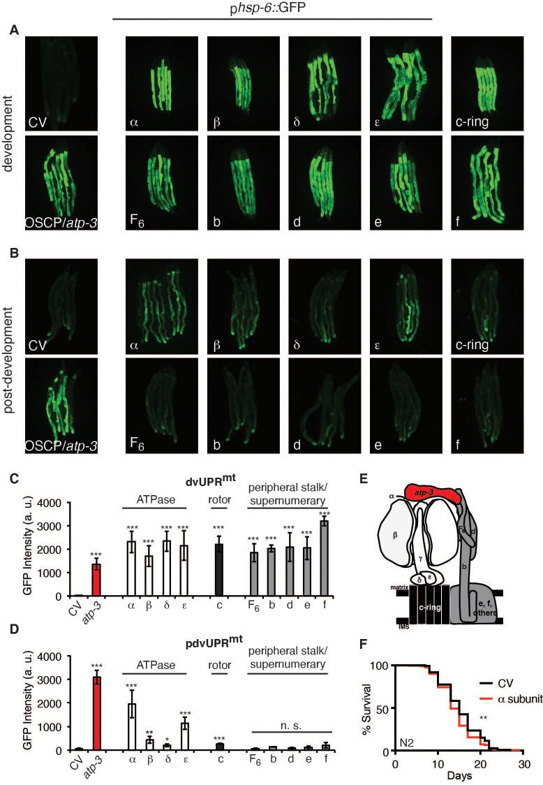 https://cdn.ncbi.nlm.nih.gov/pmc/blobs/d29d/8410078/cda4156c8499/elife-63453-fig4.jpg