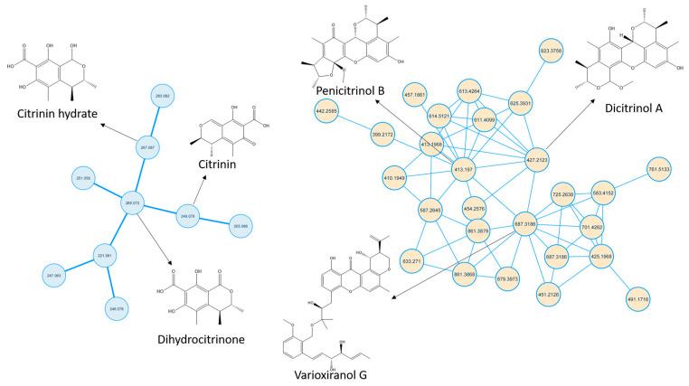 https://cdn.ncbi.nlm.nih.gov/pmc/blobs/d2ae/10052609/437ed01c633c/molecules-28-02559-g003.jpg