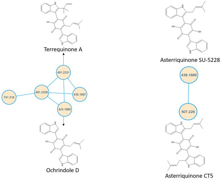 https://cdn.ncbi.nlm.nih.gov/pmc/blobs/d2ae/10052609/f72acf2fad4a/molecules-28-02559-g002.jpg