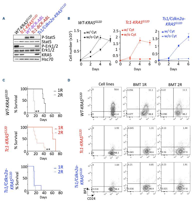 https://cdn.ncbi.nlm.nih.gov/pmc/blobs/d2b0/11215345/53a314c9e00e/1092309.fig1.jpg