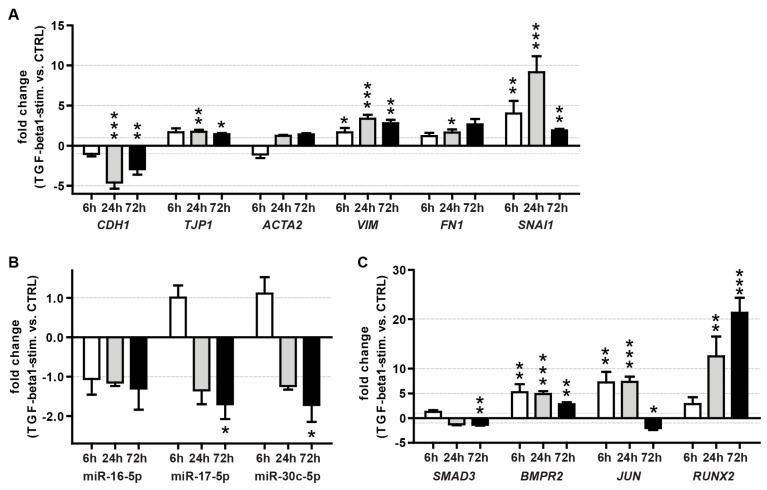 https://cdn.ncbi.nlm.nih.gov/pmc/blobs/d2ce/9407429/1fcad233a075/genes-13-01420-g007.jpg