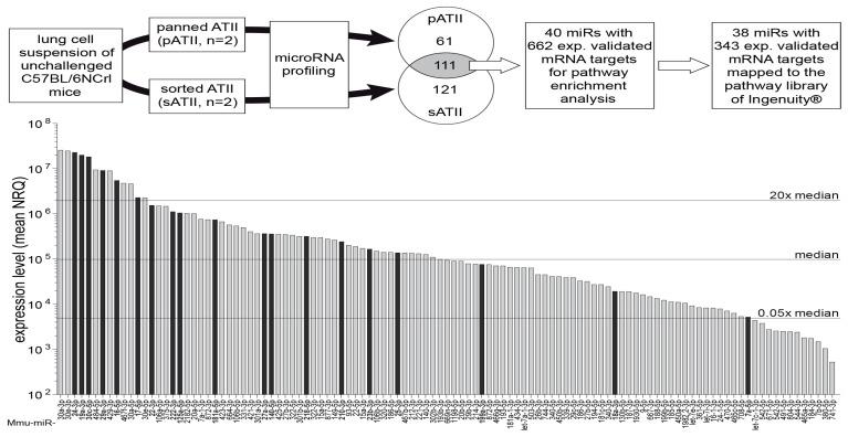 https://cdn.ncbi.nlm.nih.gov/pmc/blobs/d2ce/9407429/2096b5671f70/genes-13-01420-g004.jpg