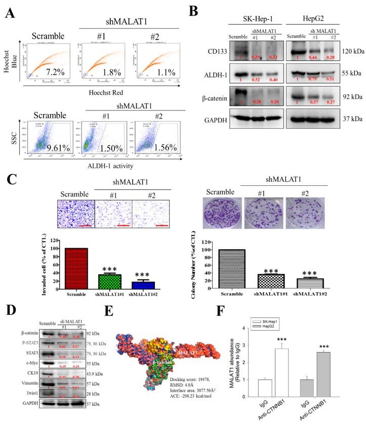 https://cdn.ncbi.nlm.nih.gov/pmc/blobs/d2e3/7226390/0fda2dcd26f2/cells-09-01020-g003.jpg
