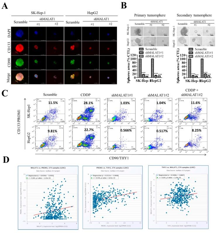 https://cdn.ncbi.nlm.nih.gov/pmc/blobs/d2e3/7226390/88d70cfd175c/cells-09-01020-g005.jpg