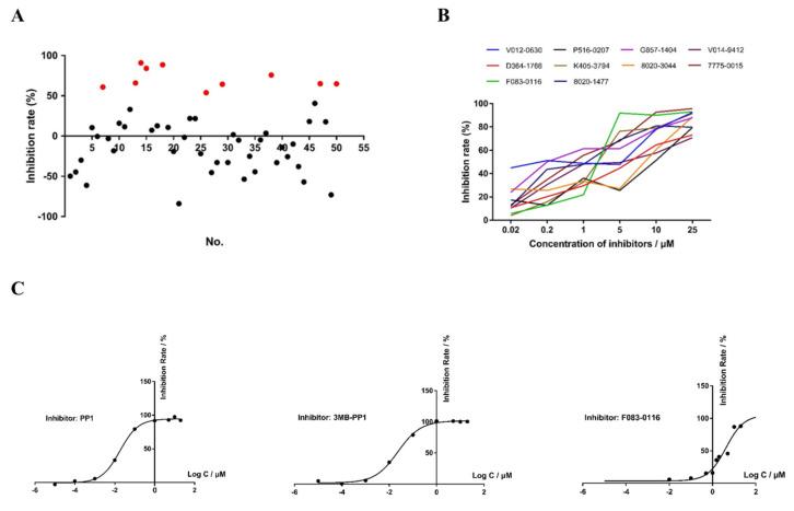 https://cdn.ncbi.nlm.nih.gov/pmc/blobs/d30b/8875172/99f337306599/microorganisms-10-00333-g005.jpg