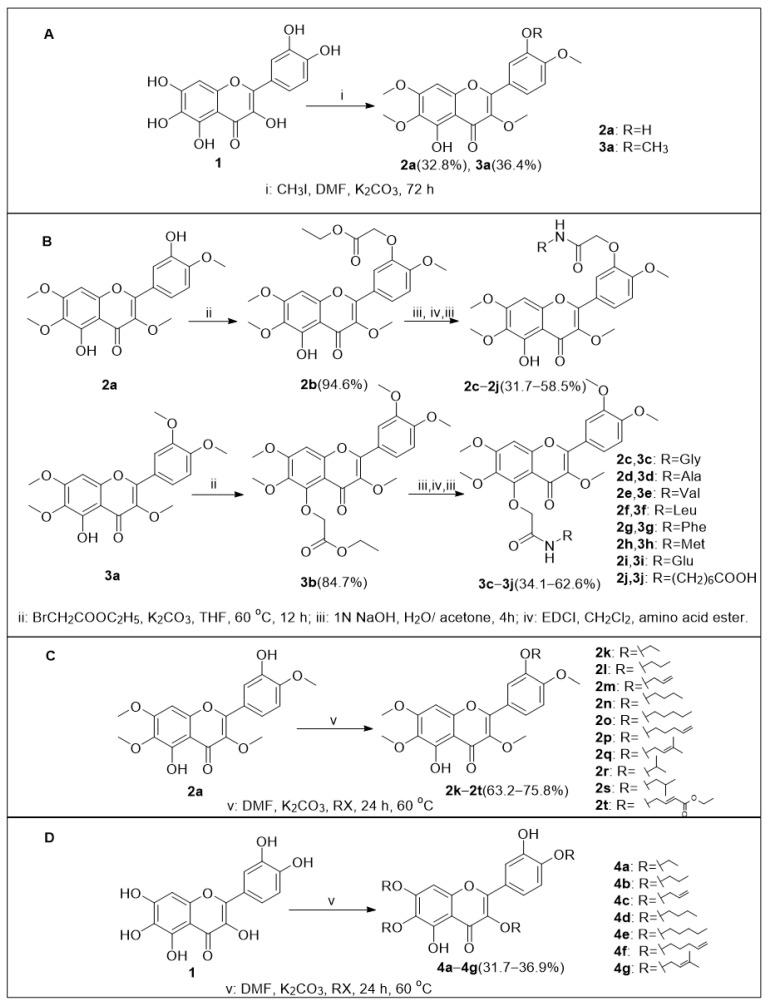 https://cdn.ncbi.nlm.nih.gov/pmc/blobs/d312/11943384/d1c980761e4e/ijms-26-02727-sch001.jpg