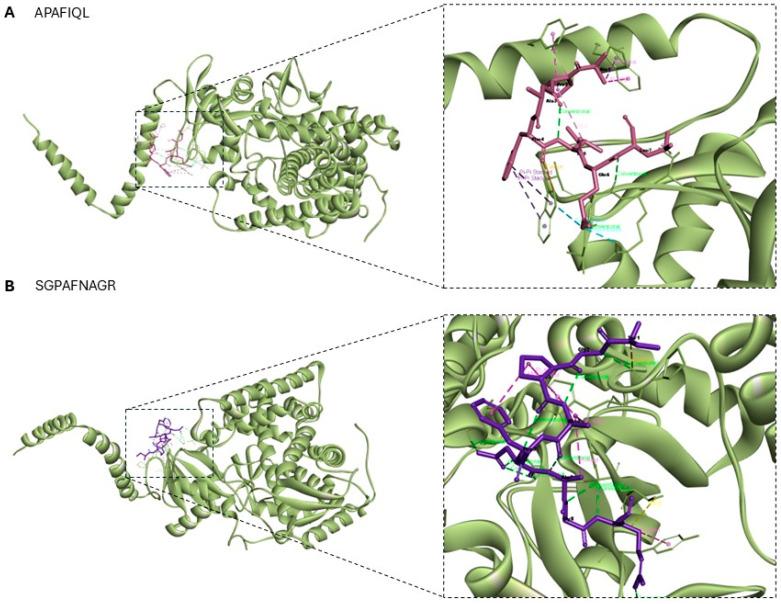 https://cdn.ncbi.nlm.nih.gov/pmc/blobs/d320/12388019/8736ae6a6cc3/molecules-30-03382-g006.jpg