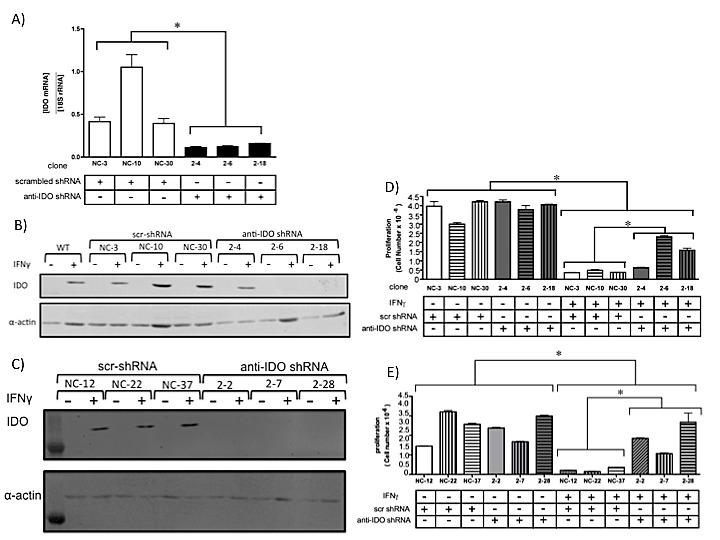 https://cdn.ncbi.nlm.nih.gov/pmc/blobs/d324/4058044/ea0dd10820f0/oncotarget-05-2778-g001.jpg