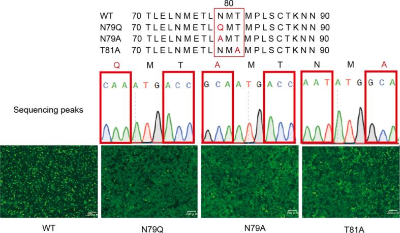 https://cdn.ncbi.nlm.nih.gov/pmc/blobs/d332/10311258/0580fdbff203/figs1.jpg