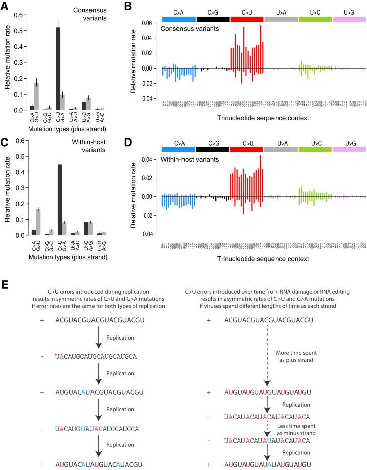 https://cdn.ncbi.nlm.nih.gov/pmc/blobs/d353/8363274/8b82012bbf1f/elife-66857-fig2.jpg