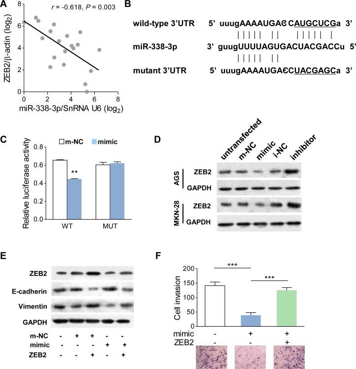 https://cdn.ncbi.nlm.nih.gov/pmc/blobs/d36f/4558147/69b6bb884dce/oncotarget-06-15222-g004.jpg