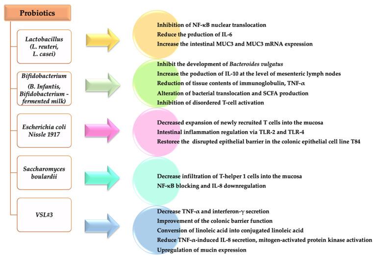 https://cdn.ncbi.nlm.nih.gov/pmc/blobs/d396/8232187/ced7ef1ad068/diagnostics-11-01090-g002.jpg
