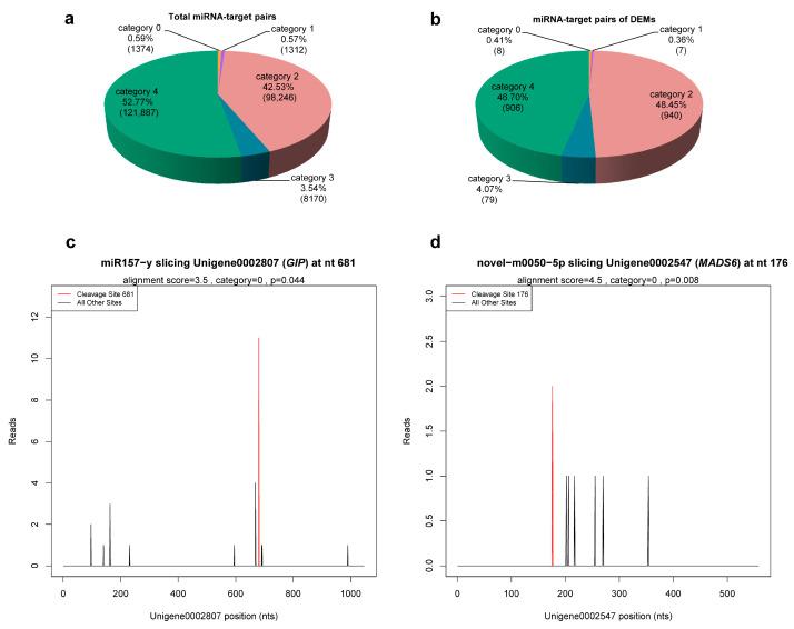 https://cdn.ncbi.nlm.nih.gov/pmc/blobs/d3cb/9964840/44a096ed81c3/ijms-24-04210-g004.jpg