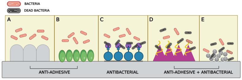 https://cdn.ncbi.nlm.nih.gov/pmc/blobs/d3fc/11052202/3eb9cfc842b9/microorganisms-12-00639-g003.jpg