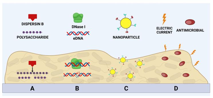 https://cdn.ncbi.nlm.nih.gov/pmc/blobs/d3fc/11052202/da5bf66d60e6/microorganisms-12-00639-g005.jpg