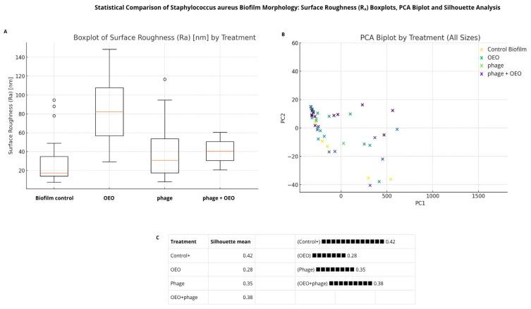 https://cdn.ncbi.nlm.nih.gov/pmc/blobs/d420/12430302/deae3f0d7093/molecules-30-03552-g006.jpg