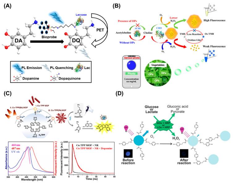 https://cdn.ncbi.nlm.nih.gov/pmc/blobs/d426/10136675/1512b9fdeffd/biosensors-13-00492-g005.jpg