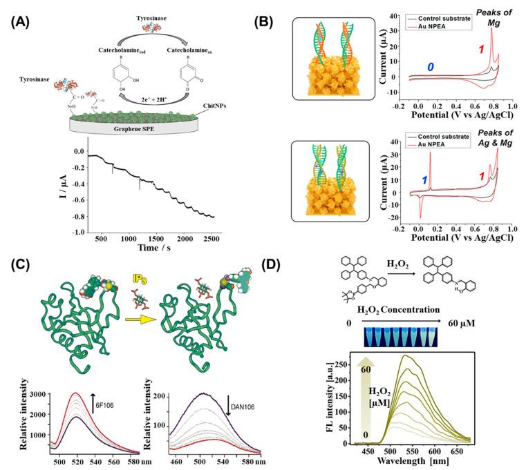 https://cdn.ncbi.nlm.nih.gov/pmc/blobs/d426/10136675/77f8f0b69f41/biosensors-13-00492-g003.jpg