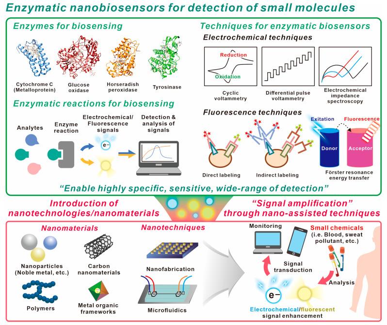 https://cdn.ncbi.nlm.nih.gov/pmc/blobs/d426/10136675/eb3dc3e3f9c4/biosensors-13-00492-g001.jpg