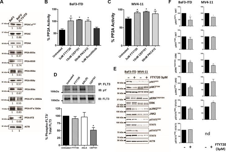 https://cdn.ncbi.nlm.nih.gov/pmc/blobs/d428/5216954/15d87bd0e2bd/oncotarget-07-47465-g002.jpg
