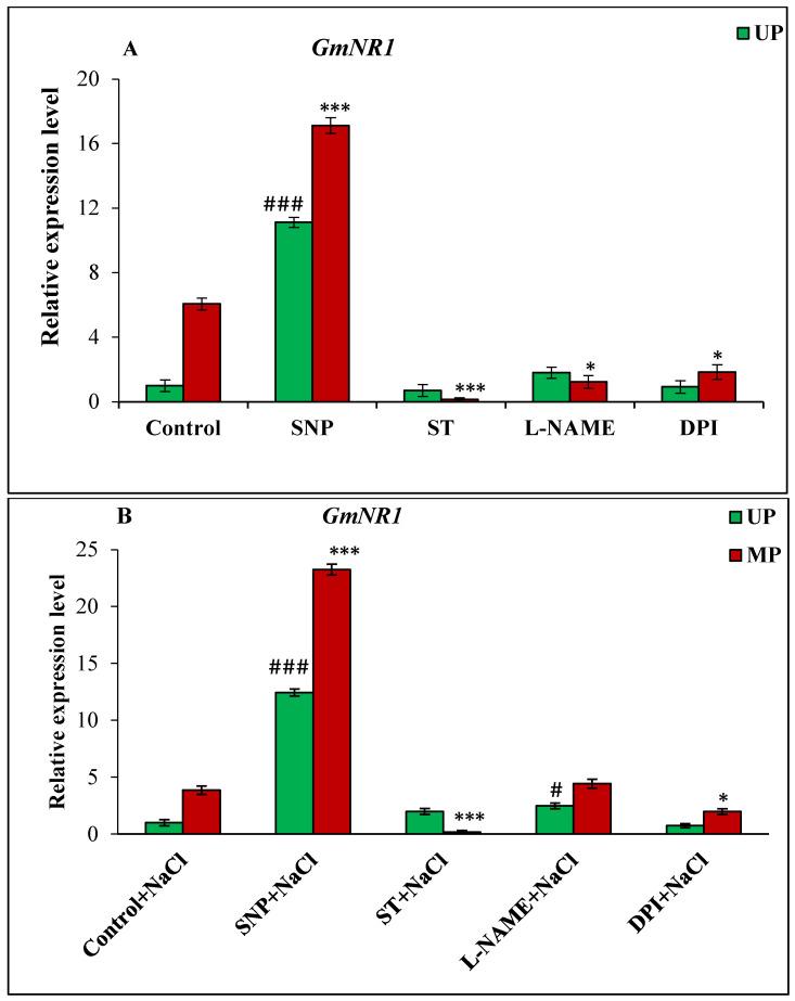 https://cdn.ncbi.nlm.nih.gov/pmc/blobs/d44e/9322440/82ec25646828/cells-11-02174-g007.jpg