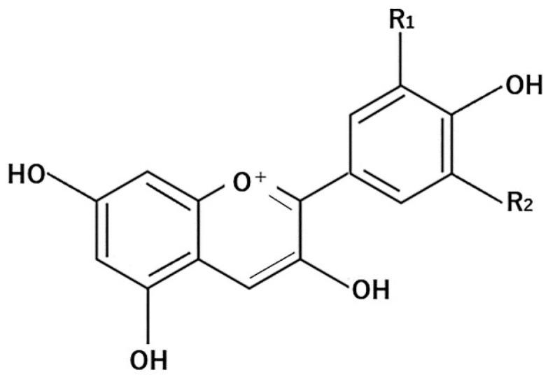 https://cdn.ncbi.nlm.nih.gov/pmc/blobs/d484/7829696/0bf8eae1c299/molecules-26-00450-g004.jpg