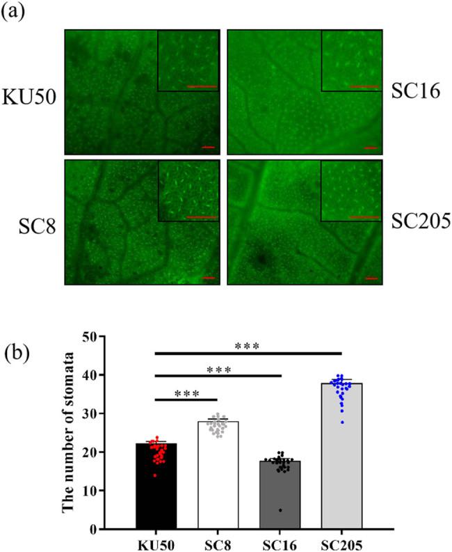 https://cdn.ncbi.nlm.nih.gov/pmc/blobs/d48d/11554558/37f9d50b8ac9/j_biol-2022-0993-fig006.jpg