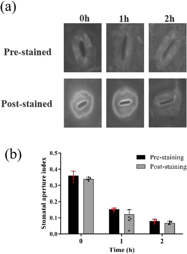 https://cdn.ncbi.nlm.nih.gov/pmc/blobs/d48d/11554558/6d765db7bb6b/j_biol-2022-0993-fig002.jpg